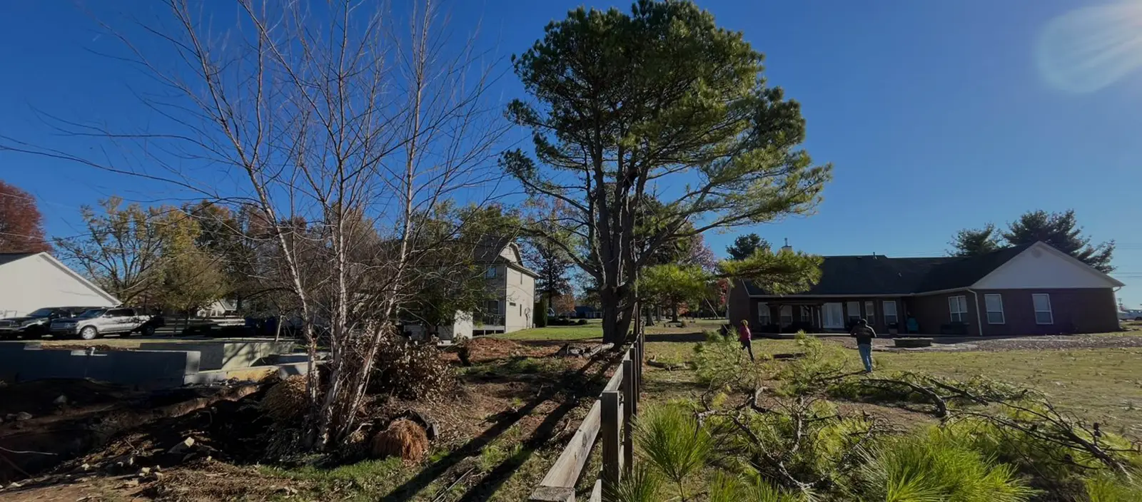 Enhance Your Property With Tree Services