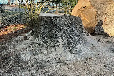 Stump Removal/Grinding